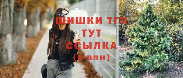 спайс Михайлов