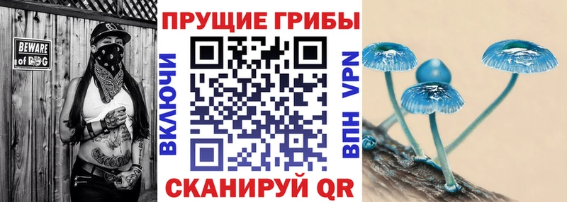 Галлюциногенные грибы прущие грибы  Чебоксары 