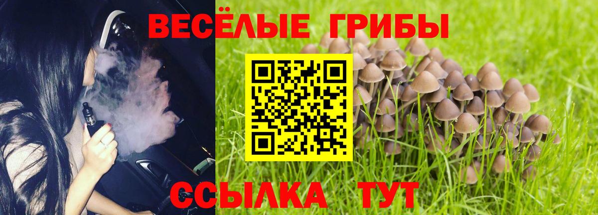 Галлюциногенные грибы мицелий Чебоксары
