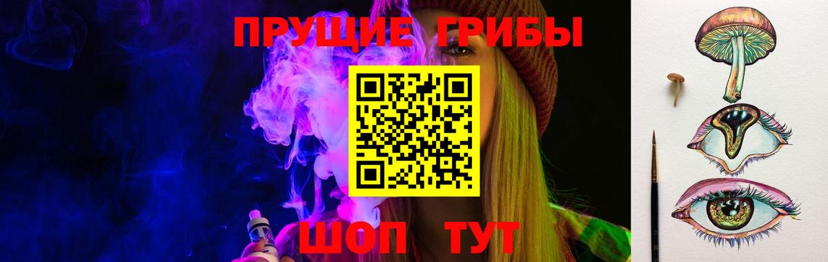 Псилоцибиновые грибы Psilocybine cubensis  Чебоксары  Галлюциногенные грибы Psilocybe 